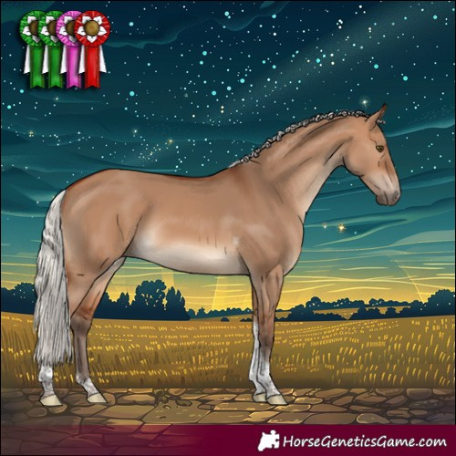 Horse Color:Silver Brown Dun Sabino Tobiano Rabicano
