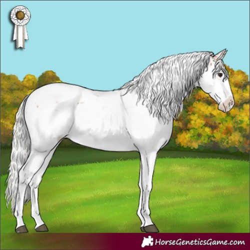 Horse Color:Silver Bay Sabino
