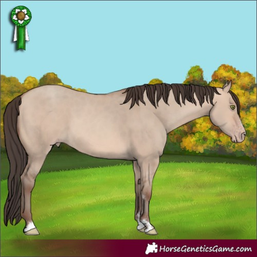 Horse Color:Amber Champagne Dun