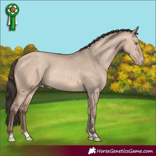 Horse Color:Amber Champagne Dun 