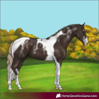 Horse Color:Powder White Liver Chestnut Tobiano