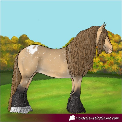 Horse Color:Buckskin Dun Snowflake Varnish 