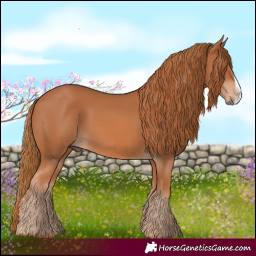 Horse Color:Chestnut Frame