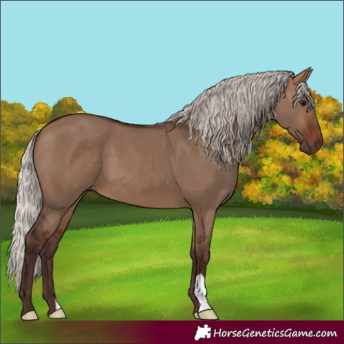 Horse Color:Silver Brown Dun