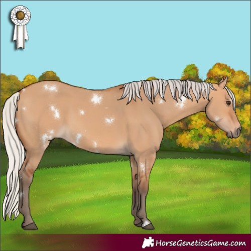 Horse Color:White Spotted Silver Bay Dun 