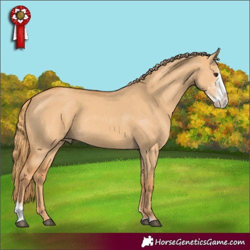 Horse Color:Red Dun Sabino 