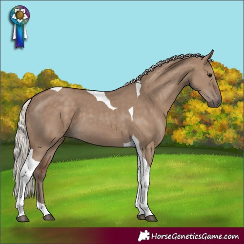 Horse Color:Silver Grullo Tobiano 