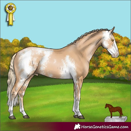 Horse Color:Chestnut Pearl Sabino 