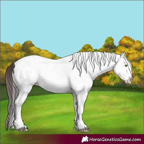 Horse Color:White Spotted Amber Champagne Dun 