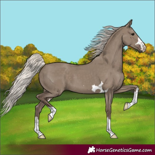 Horse Color:Silver Grullo