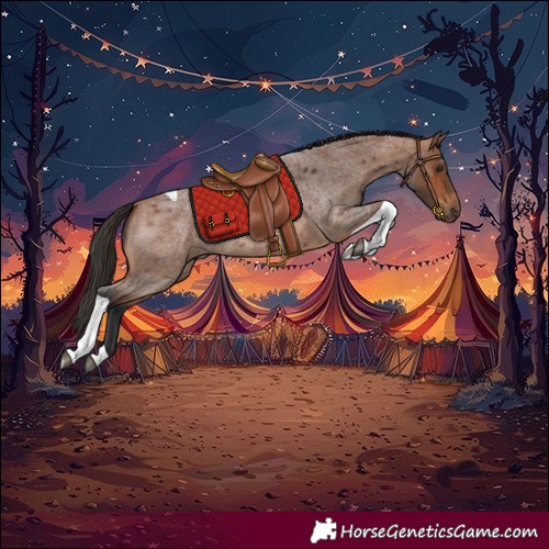 Horse Color:Bay Roan Tobiano 