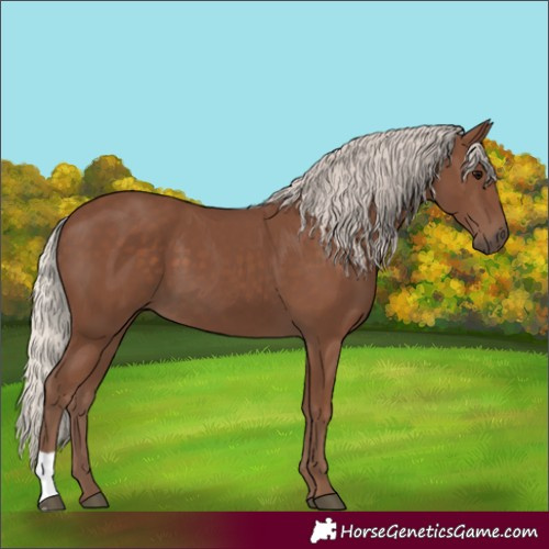Horse Color:Silver Black 