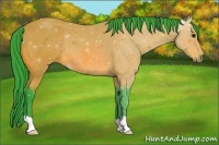 Horse Color:Watercolor Bay 