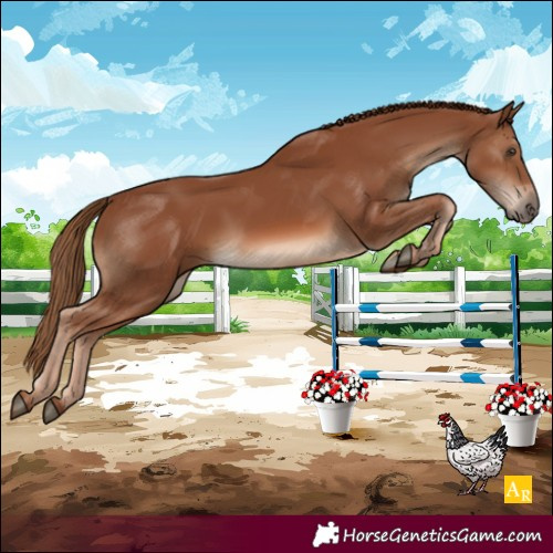 Horse Color:Chestnut Rabicano 