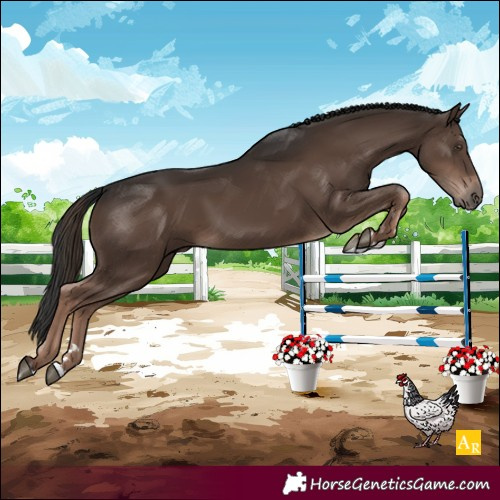 Horse Color:Liver Chestnut