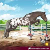 Horse Color:Silver Black Near Leopard 