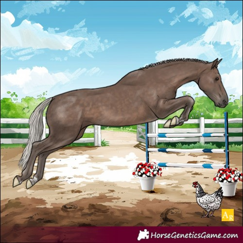 Horse Color:Silver Black