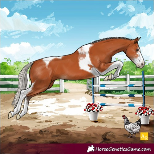 Horse Color:Silver Bay Sabino Tobiano