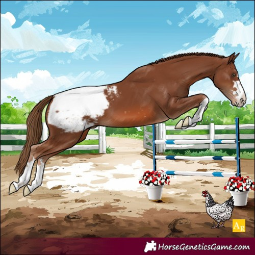Horse Color:Chestnut Snowcap