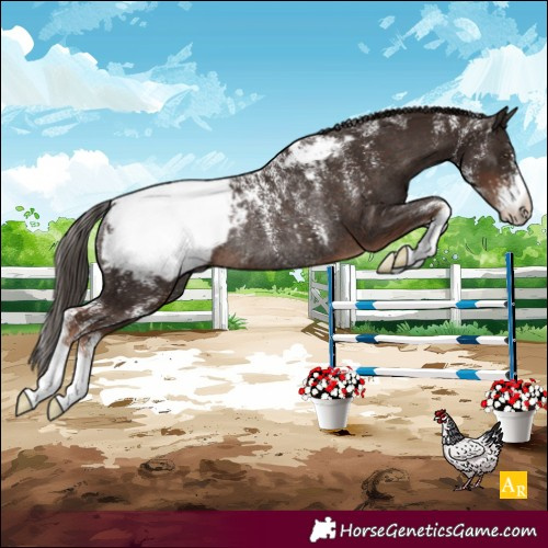 Horse Color:Powder White Liver Chestnut Snowcap Rabicano 