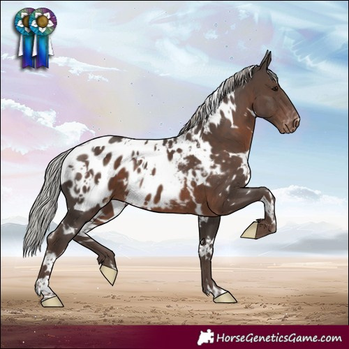 Horse Color:White Spotted Silver Black Mushroom Near Leopard