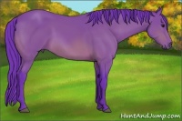 Horse Color:Watercolor Bay 