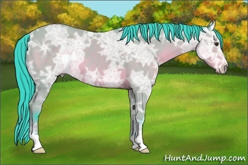 Horse Color:Watercolor Bay Ice 