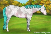 Horse Color:Watercolor Bay Ice 