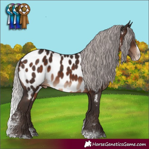 Horse Color:Silver Brown Mushroom Sabino Splash Near Leopard 