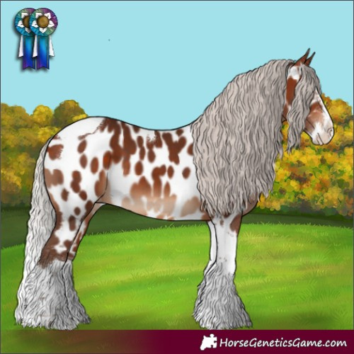 Horse Color:Silver Bay Splash Tobiano Near Leopard 