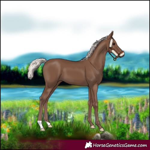 Horse Color:Silver Black 