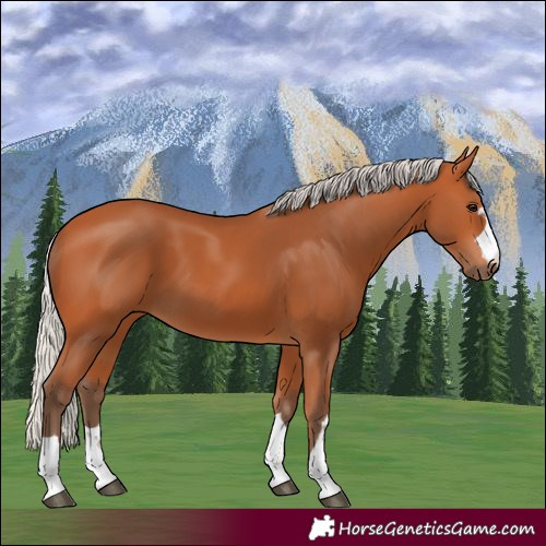 Horse Color:Silver Bay