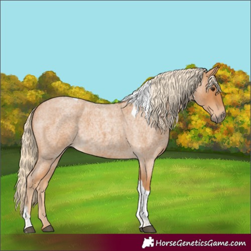Horse Color:Red Roan Tobiano