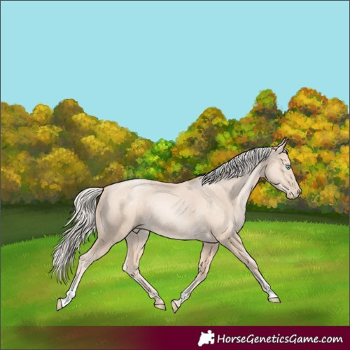 Horse Color:Gold Cream Champagne Pearl 