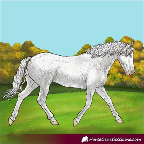 Horse Color:Silver Classic Champagne Roan Dun Splash Tobiano Frame Near Leopard Rabicano