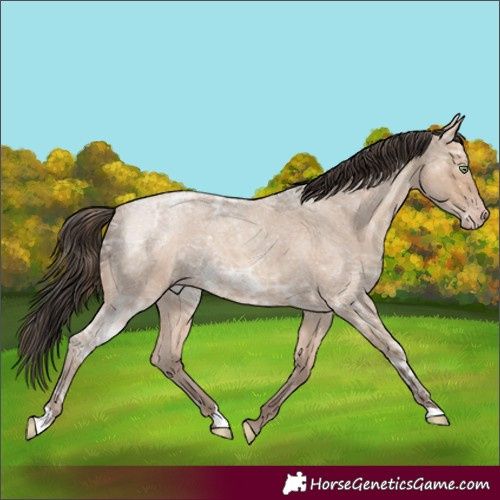 Horse Color:Amber Champagne Ice Roan