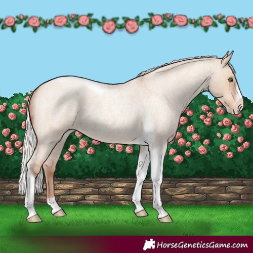 Horse Color:Silver Sable Champagne Roan Dun Splash Tobiano Frame Varnish Rabicano 