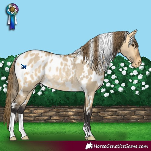 Horse Color:White Spotted Buckskin Dun Blanket Rabicano 