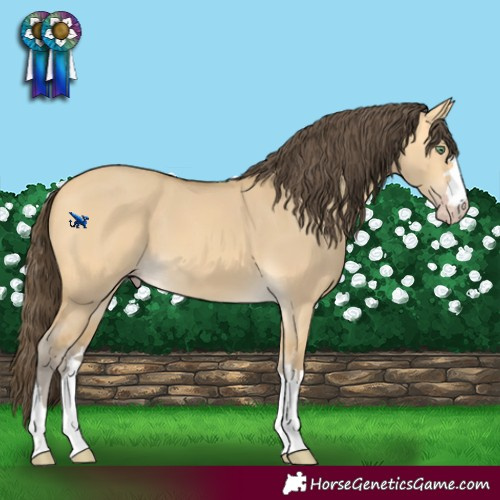Horse Color:Amber Cream Champagne Dun 