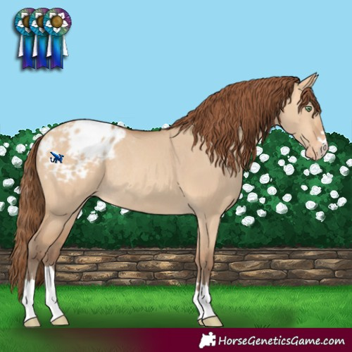 Horse Color:Amber Champagne Dun Varnish Rabicano 