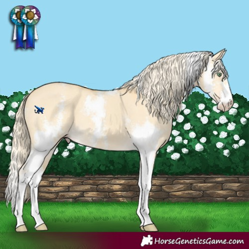 Horse Color:Gold Cream Champagne Dun Sabino 