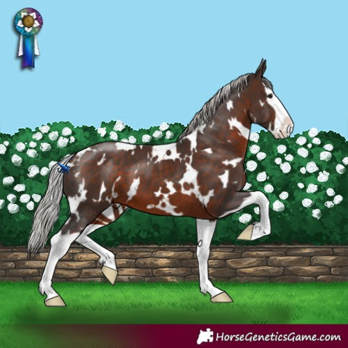 Horse Color:White Spotted Silver Bay Splash