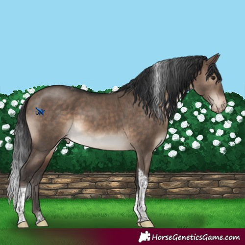 Horse Color:Brown Dun Tobiano Varnish