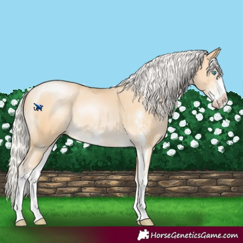 Horse Color:Silver Buckskin Pearl Sabino