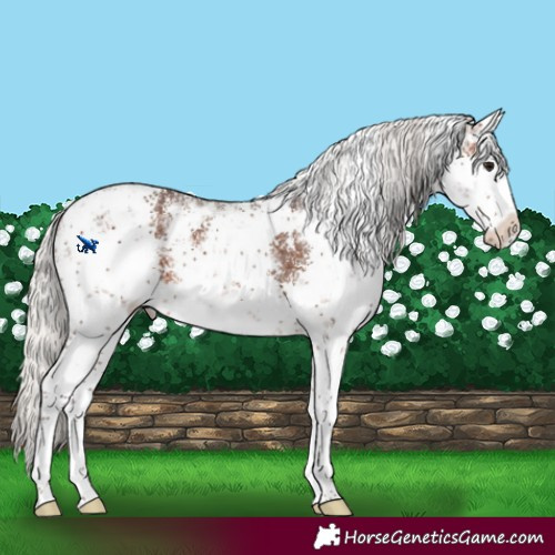 Horse Color:White Spotted Silver Brown Sabino 