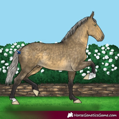 Horse Color:Silver Buckskin Dun Mushroom