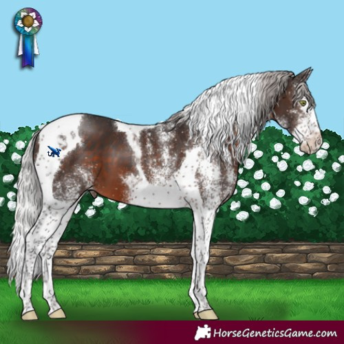 Horse Color:White Spotted Silver Brown Mushroom Splash Tobiano 
