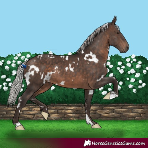Horse Color:White Spotted Silver Brown 