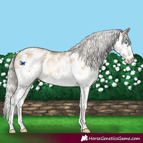 Horse Color:White Spotted Silver Buckskin Pearl Sabino