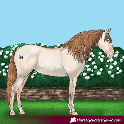 Horse Color:Buckskin Pearl Dun Tobiano 